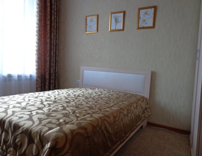 Люкс 1-местный - Санаторий «Красная глинка» Южный