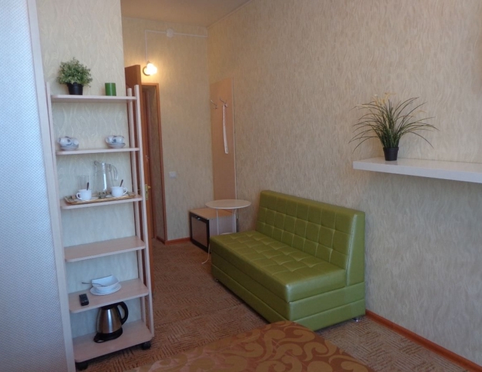 Люкс 1-местный - Санаторий «Красная глинка» Южный