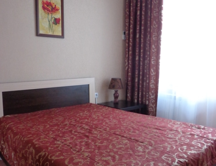 Люкс 1-местный - Санаторий «Красная глинка» Южный